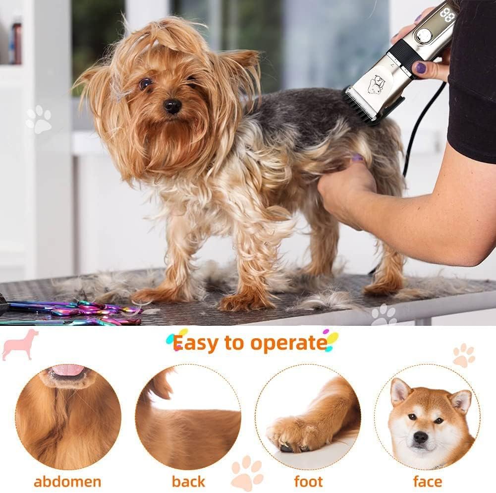 Thumbnail 4 de KAEFUYS Schermaschine Hund mit LCD Anzeige