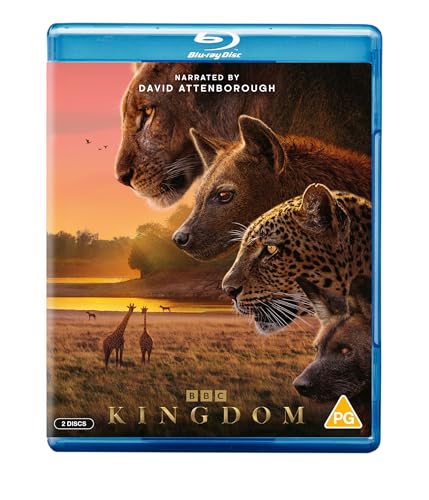 Detalle de Kingdom by BBC — An Insightful Pick for Everyday Viewing