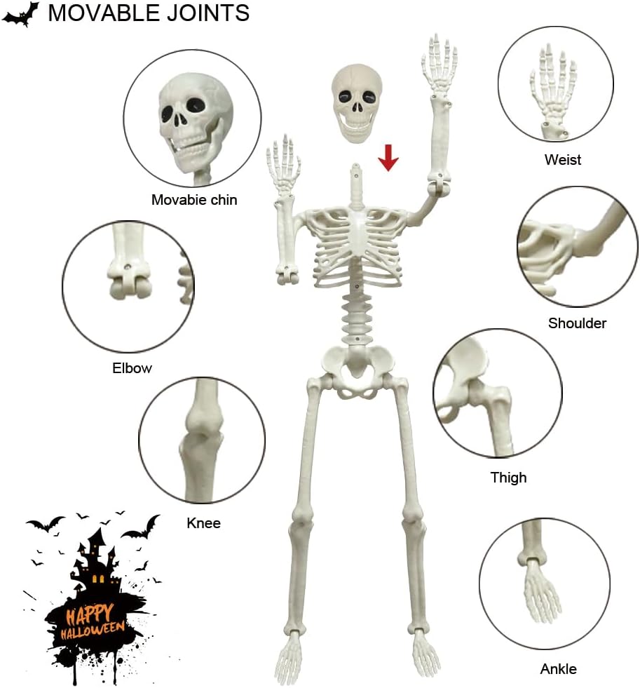 Thumbnail 1 de CAMIRUS LR2-90 3-Ft Posable Plastic Skeletons, 2-Pack