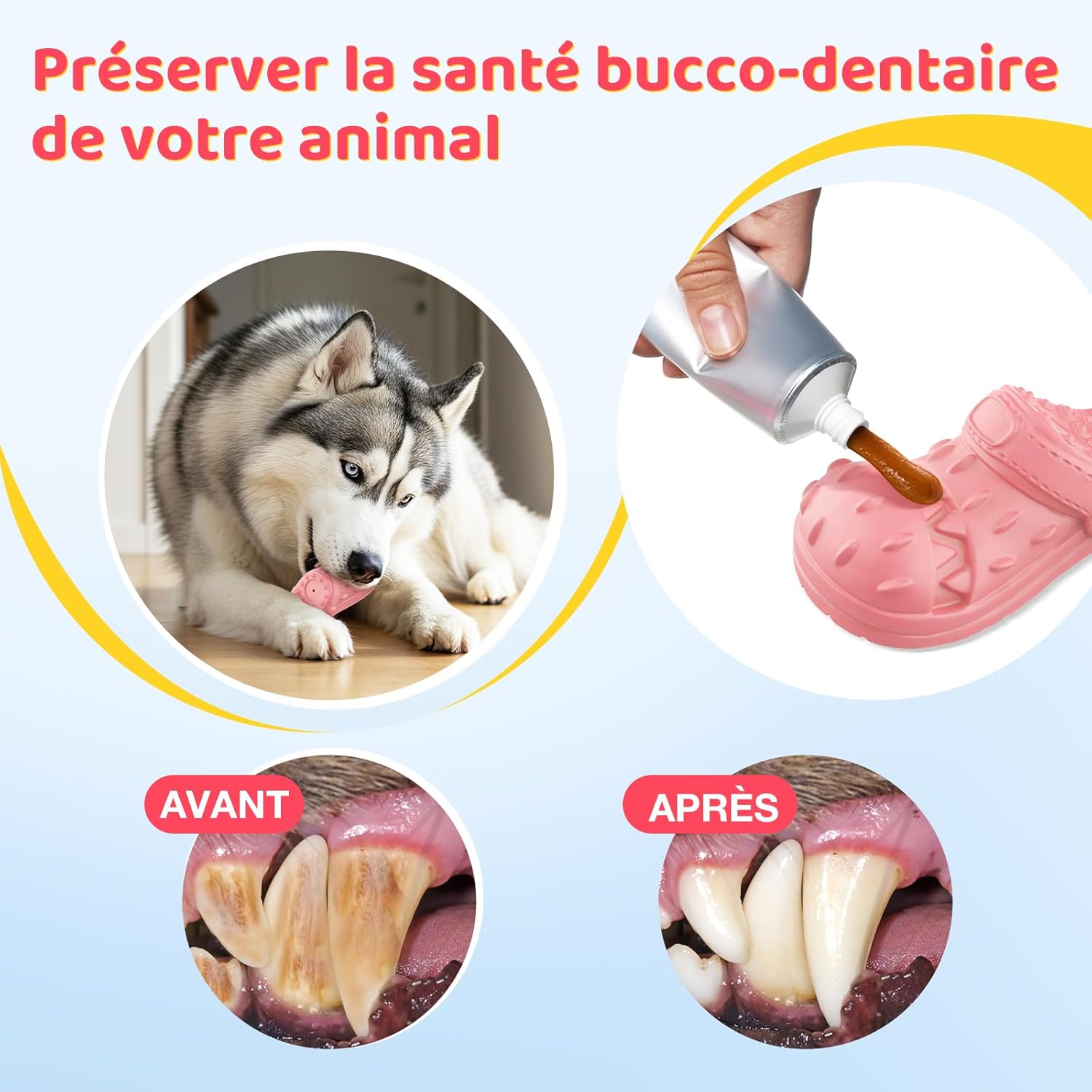 Thumbnail 4 de RUXAN Jouet pour Chien qui Couine en Caoutchouc Naturel — Saveur bœuf, 17 x 7,6 x 6,6 cm, pour tous les chiens (Rose)
