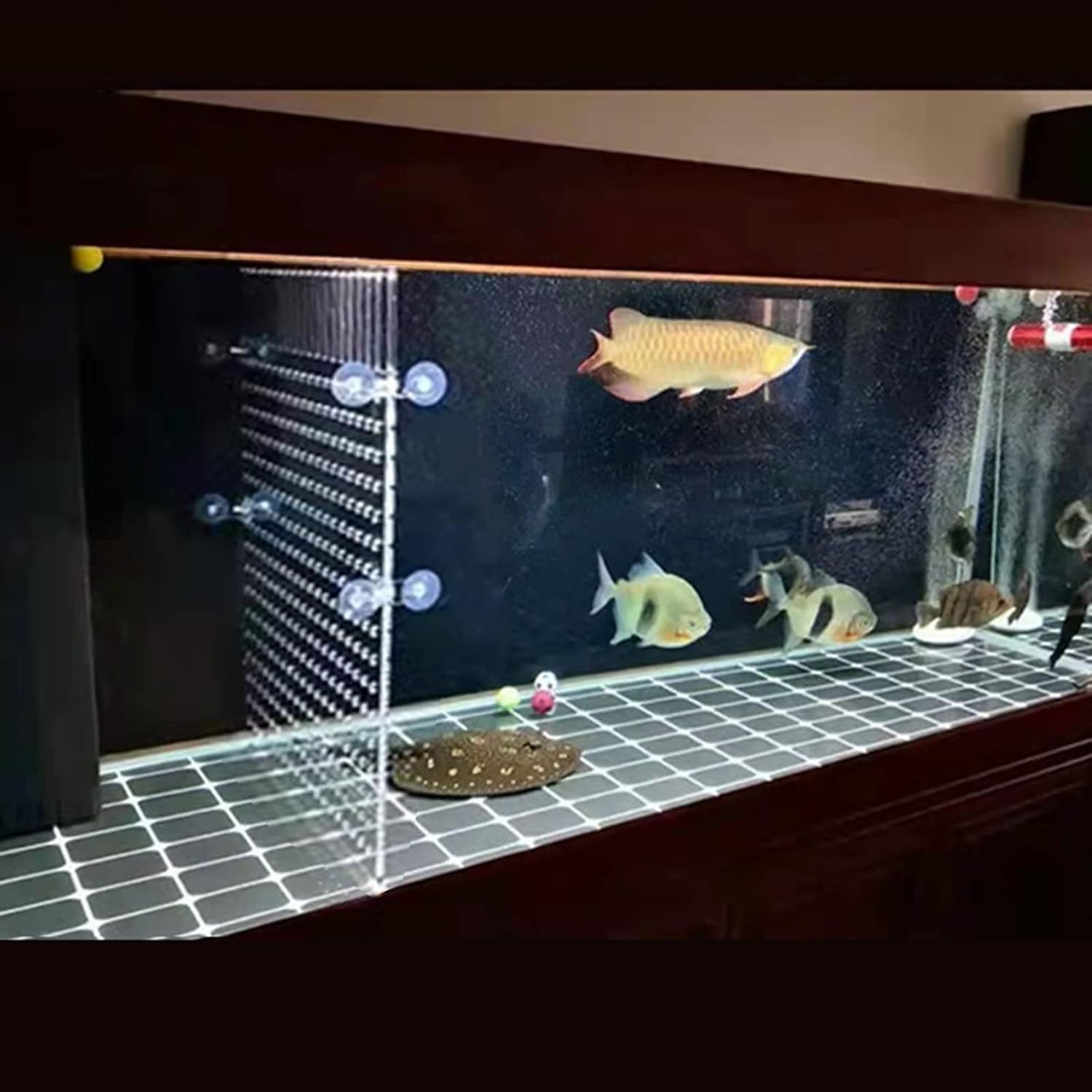 Thumbnail 4 de Acryl-Trennwand 25×30 cm für Aquarium 🐠