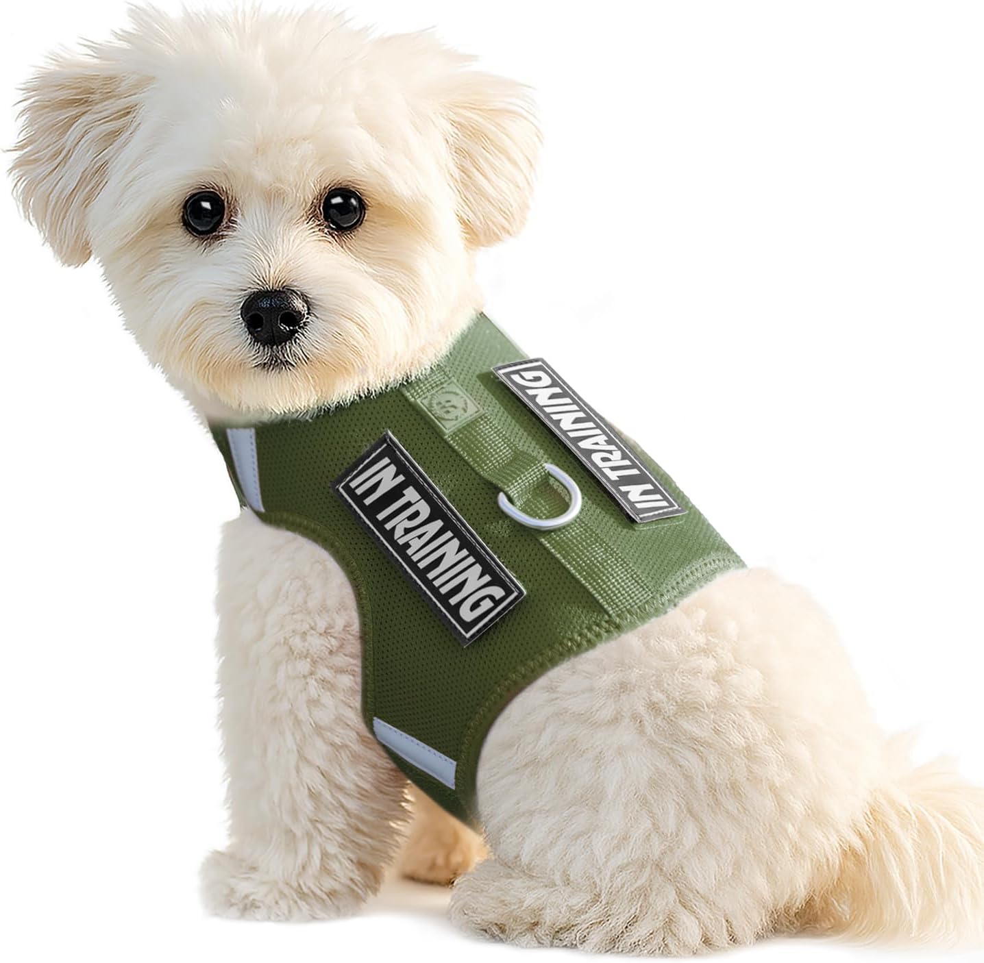 Detalle de Sunraymascota Small Dog Harness with Reflective Design (Misty Green, Size S) – Adjustable, Lightweight & Breathable