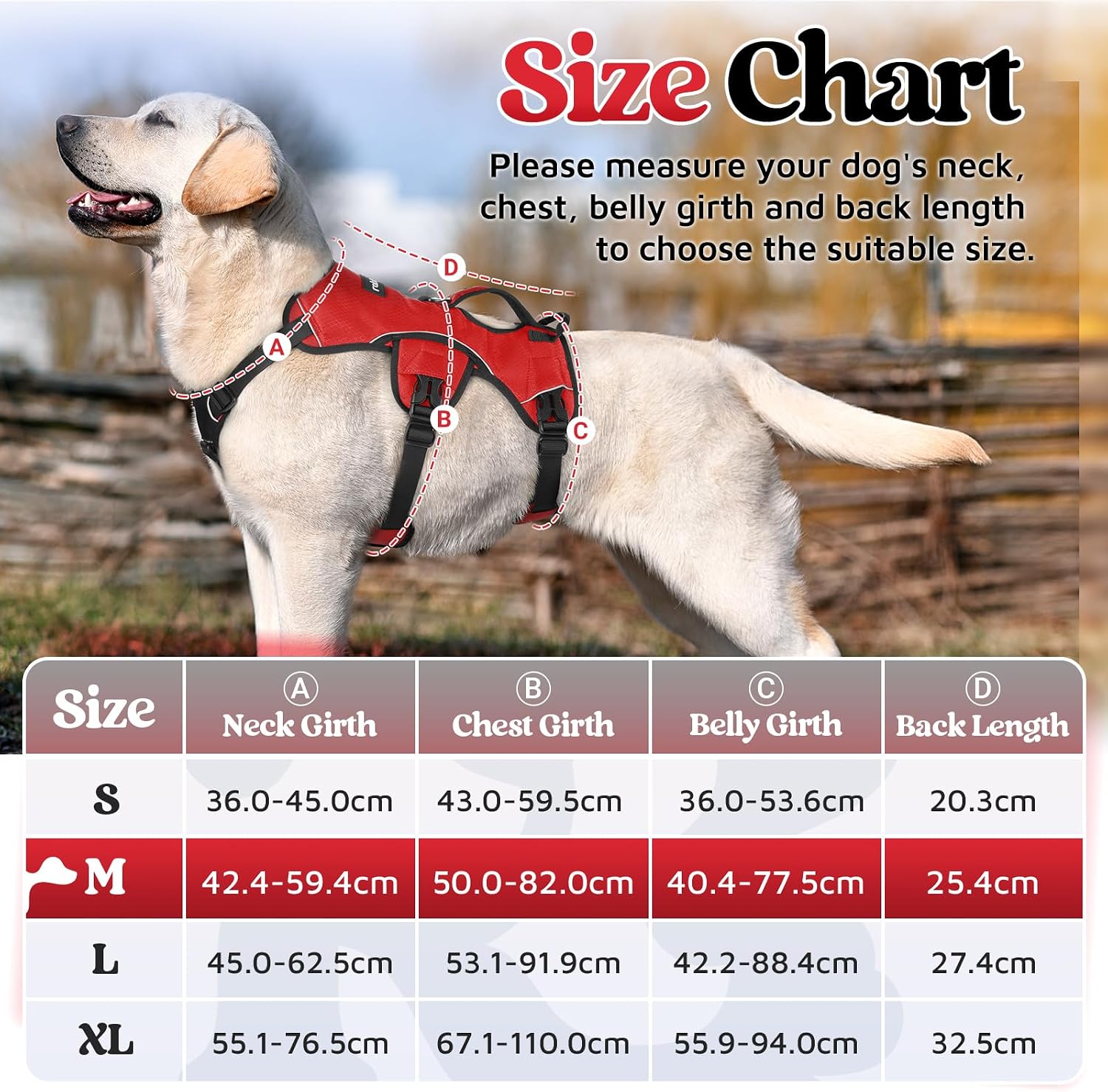 Detalle 2 de Rabbitgoo Escape Proof Dog Harness Medium with Large Handle – Secure Lift Assist and Anti-Pull