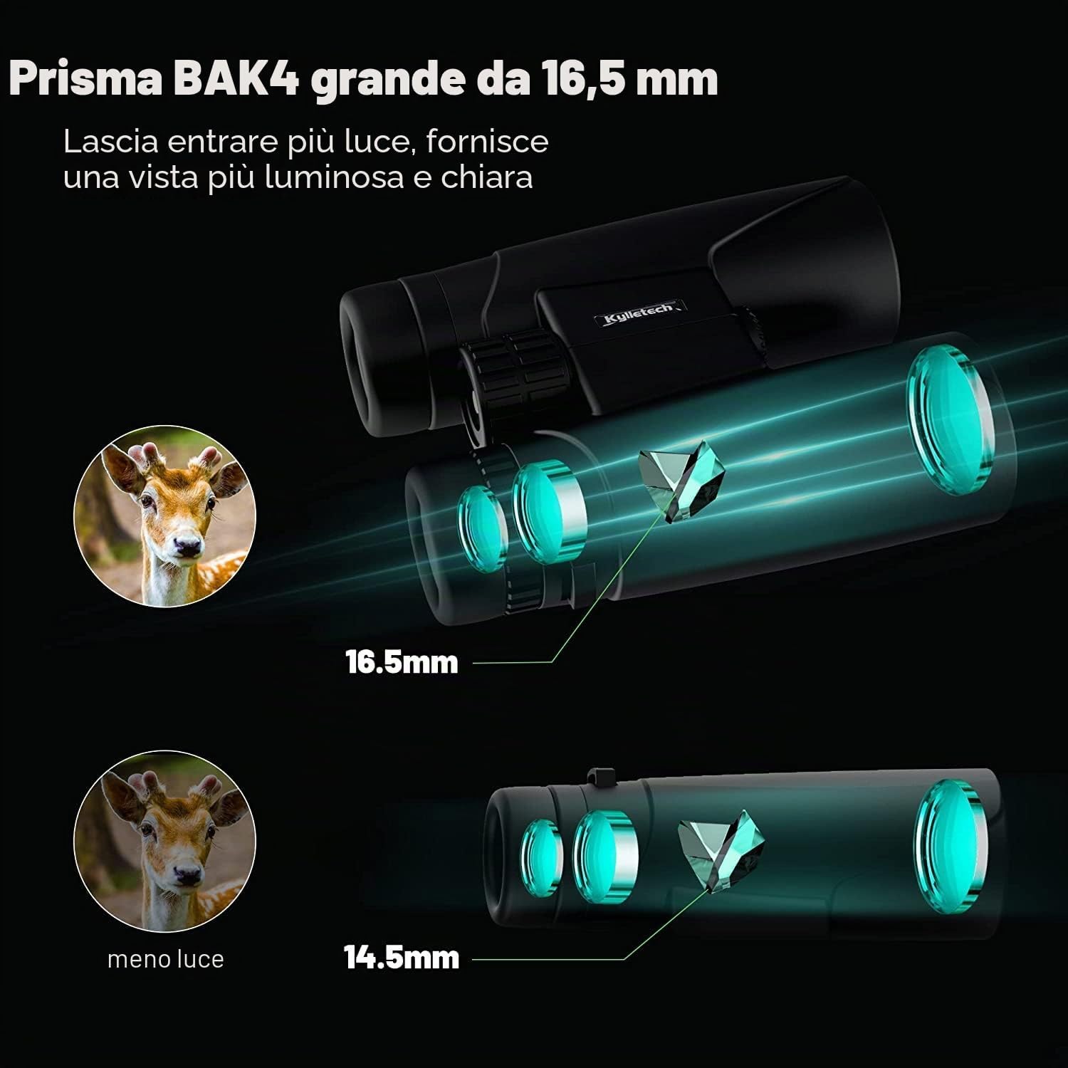 Detalle de Kylietech 12x42 Professionale Binocolo con prisma BaK-4, lenti FMC e adattatore smartphone