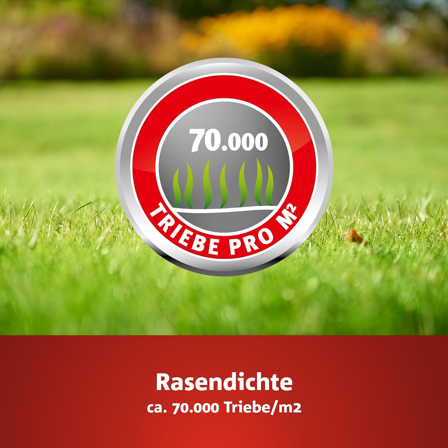 Thumbnail 2 de WOLF-Garten Turbo-Nachsaat LR50 zur Rasensanierung – 1 kg Karton (50 m²)