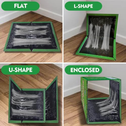 Detalle 2 de GroZythre insect glue traps, 8-pack