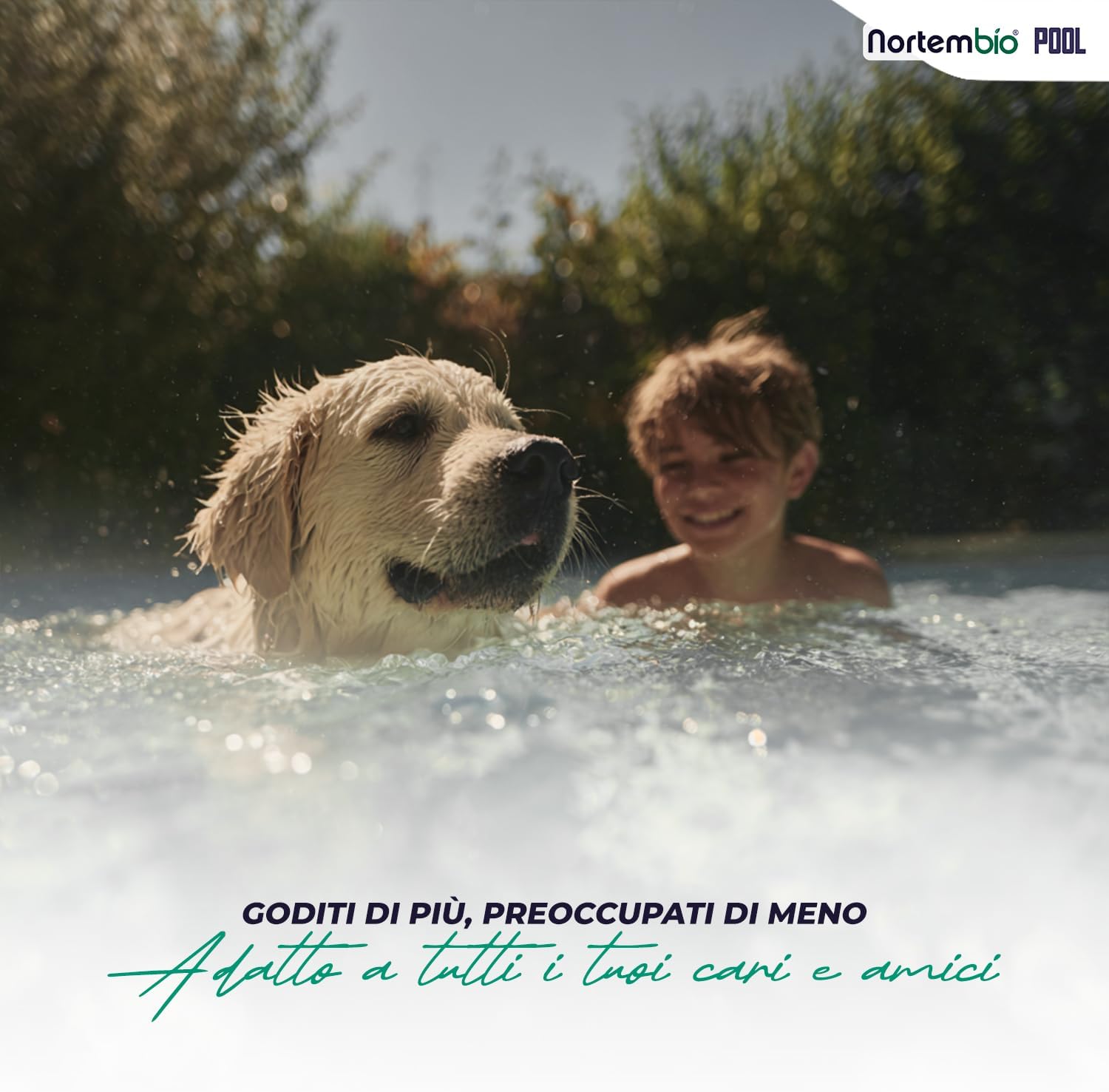 Detalle 2 de Nortembio pH- Minus Liquido: Riduttore di pH per Piscine e Spa (5 L)