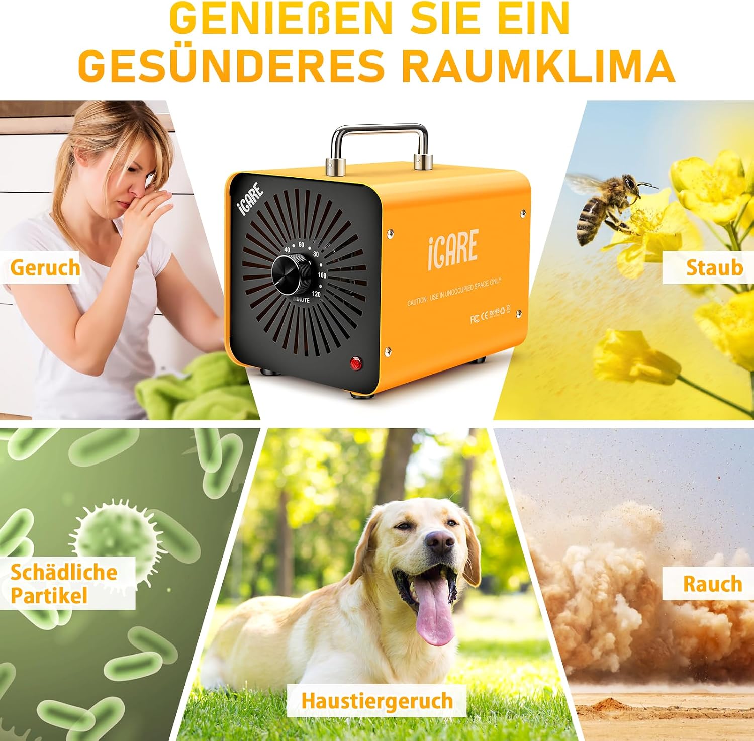 Detalle de ICARE Ozongenerator 60000 mg/h Ozon Luftreiniger