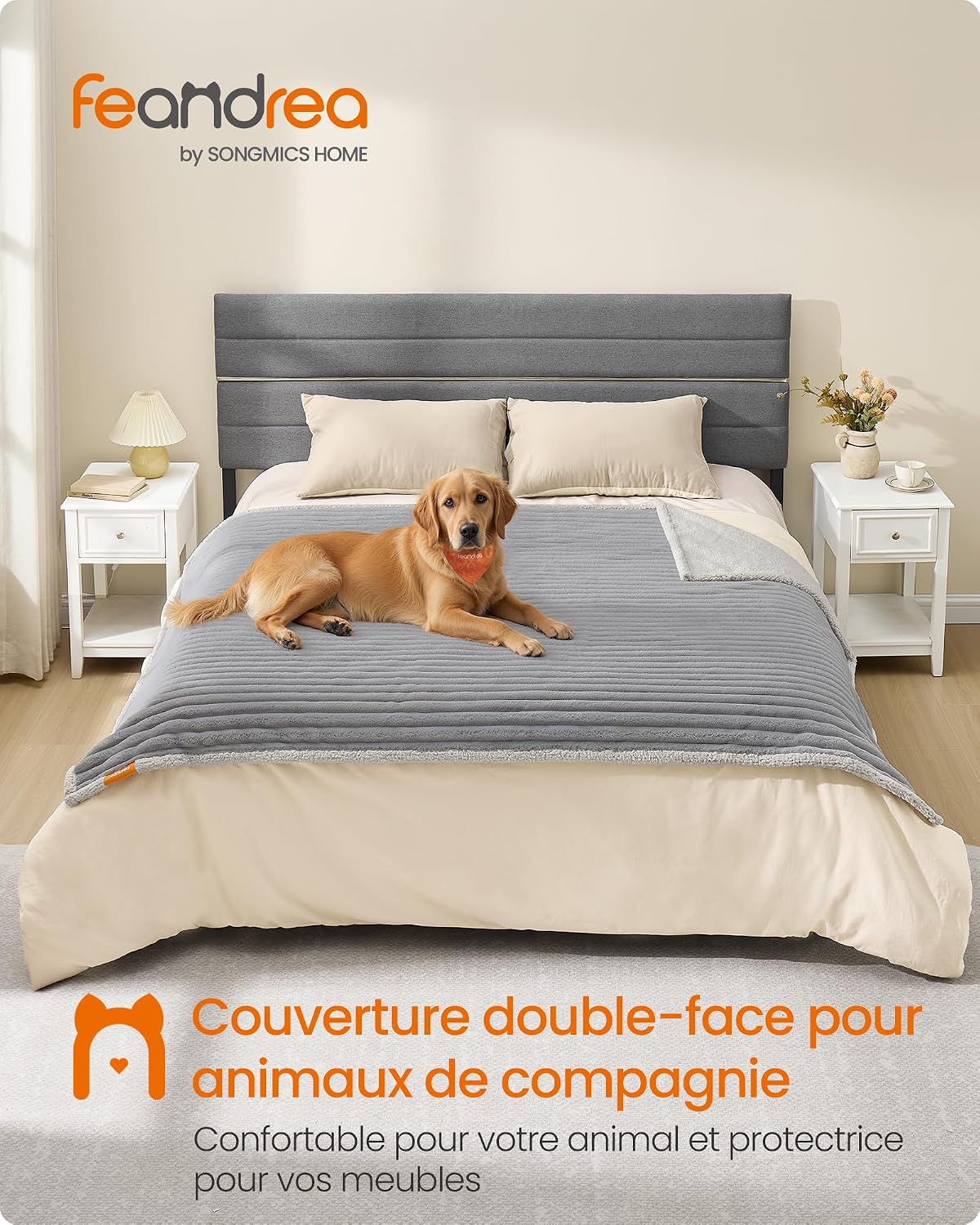 Thumbnail 1 de Tapis chien imperméable XXL 203 x 152 cm