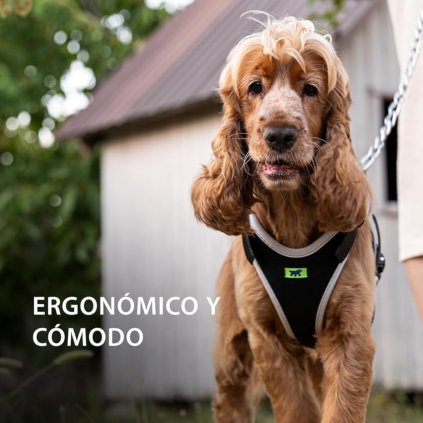 Thumbnail 1 de Ferplast Arnés Perro Pequeño ERGOCOMFORT Extra Small 🐾 Ajustable y Cómodo