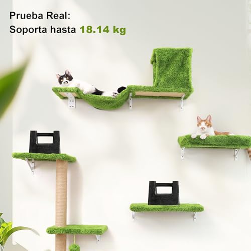 Detalle 2 de FUKUMARU Cat Wall Furniture Set 16-inch wall cat gym 🐱