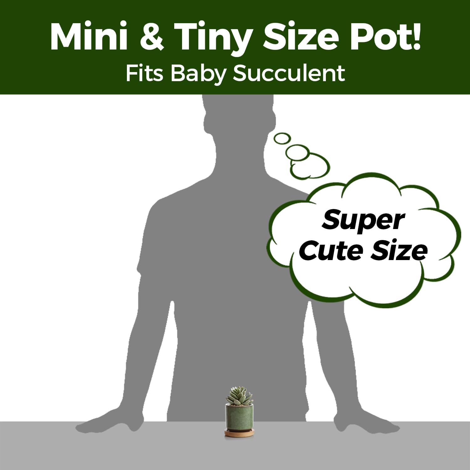 Thumbnail 2 de T4U 6cm Succulent Plant Pot Set of 6 🌱