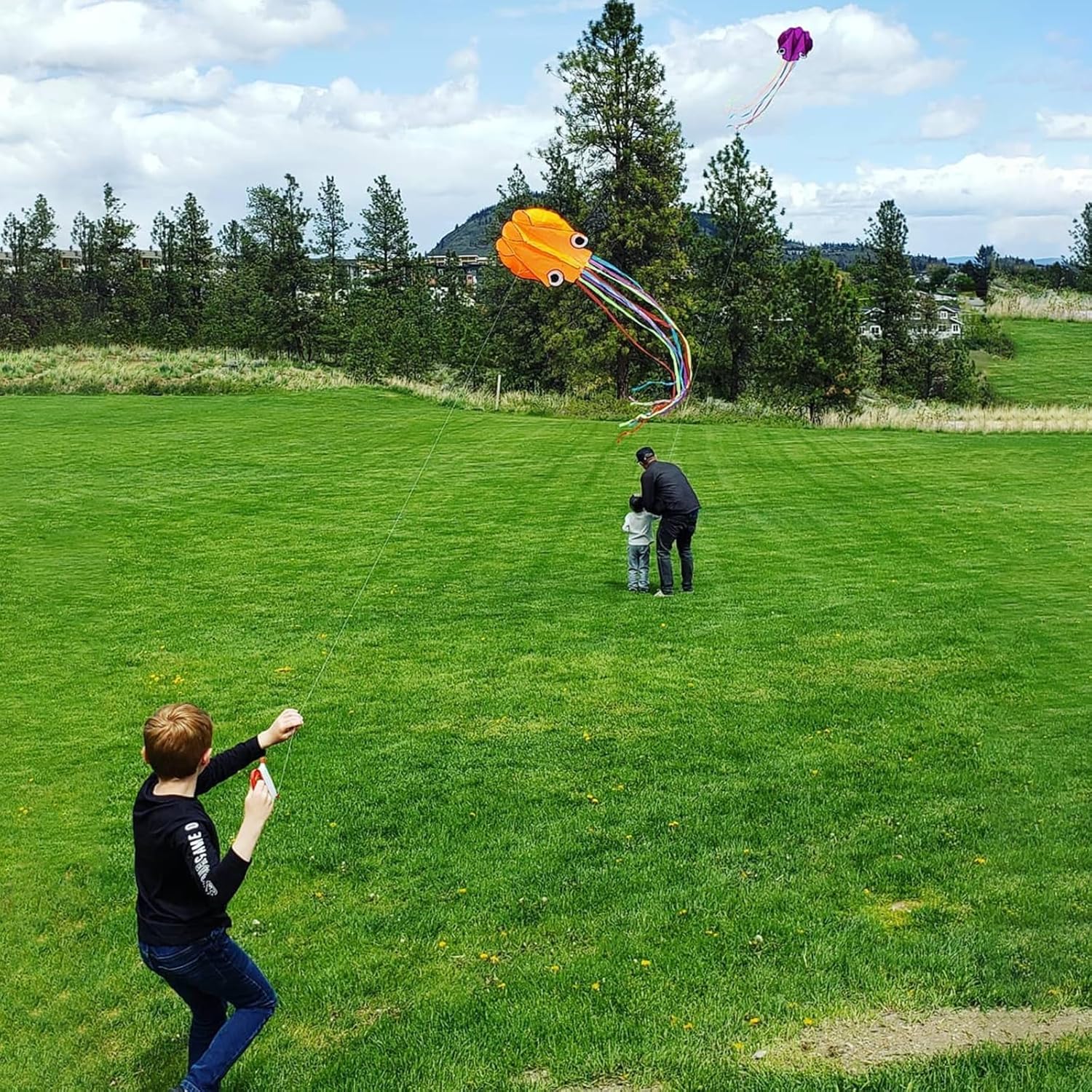 Thumbnail 6 de Kaiciuss Octopus Kite – Easy to Fly 28" x 158" Soft Kite for Kids & Adults