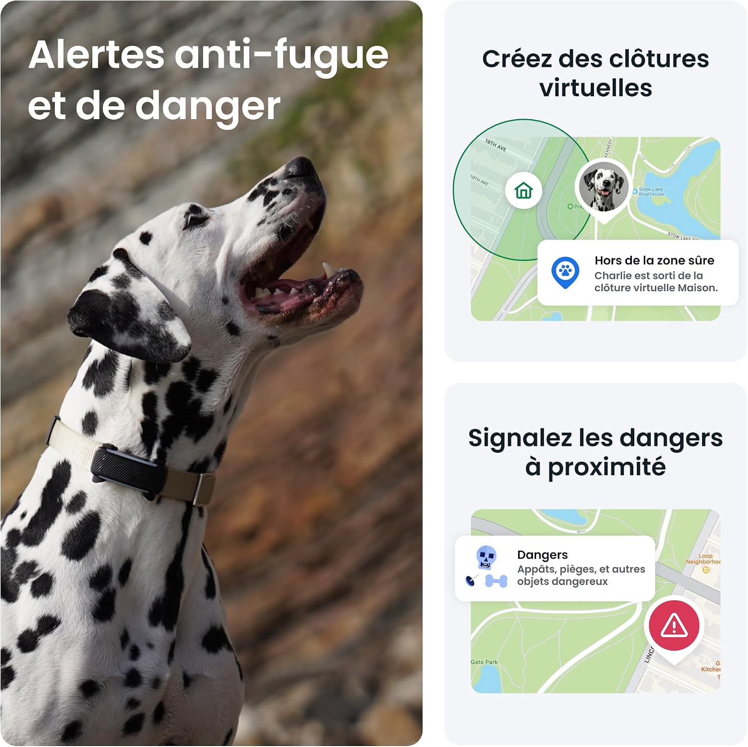 Detalle 2 de Tractive Collier GPS 2025 pour chien