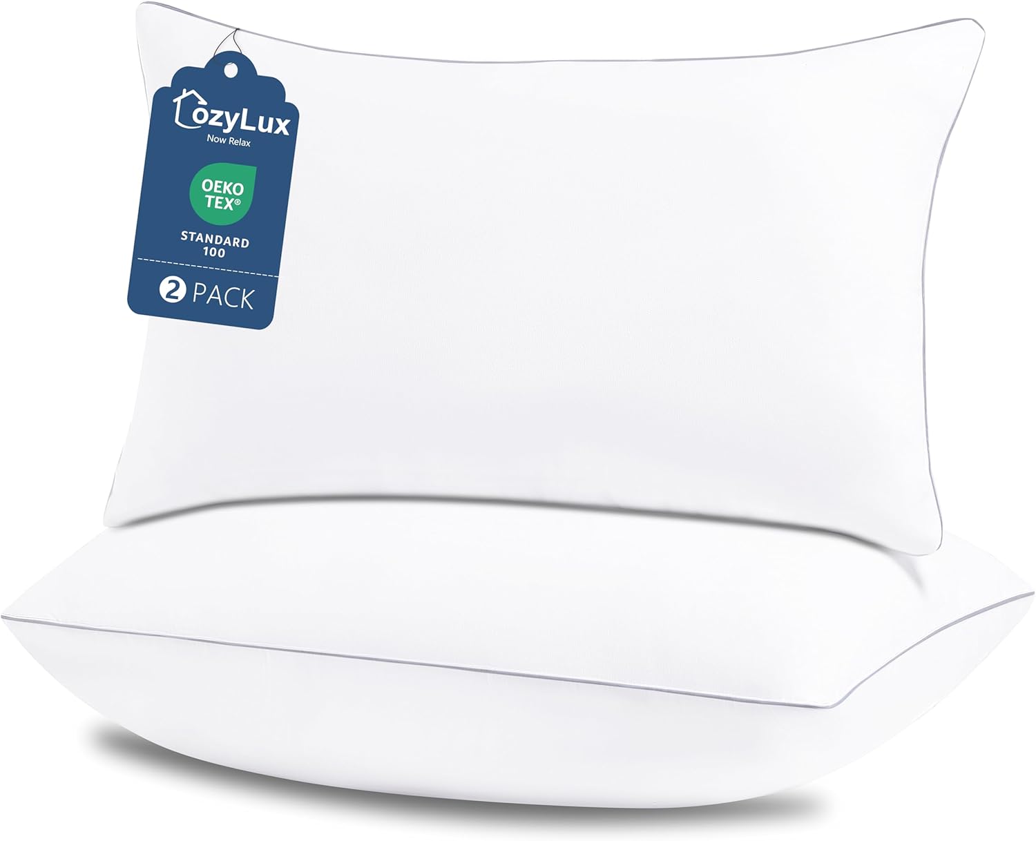 Detalle de CozyLux Queen Pillows 18x28