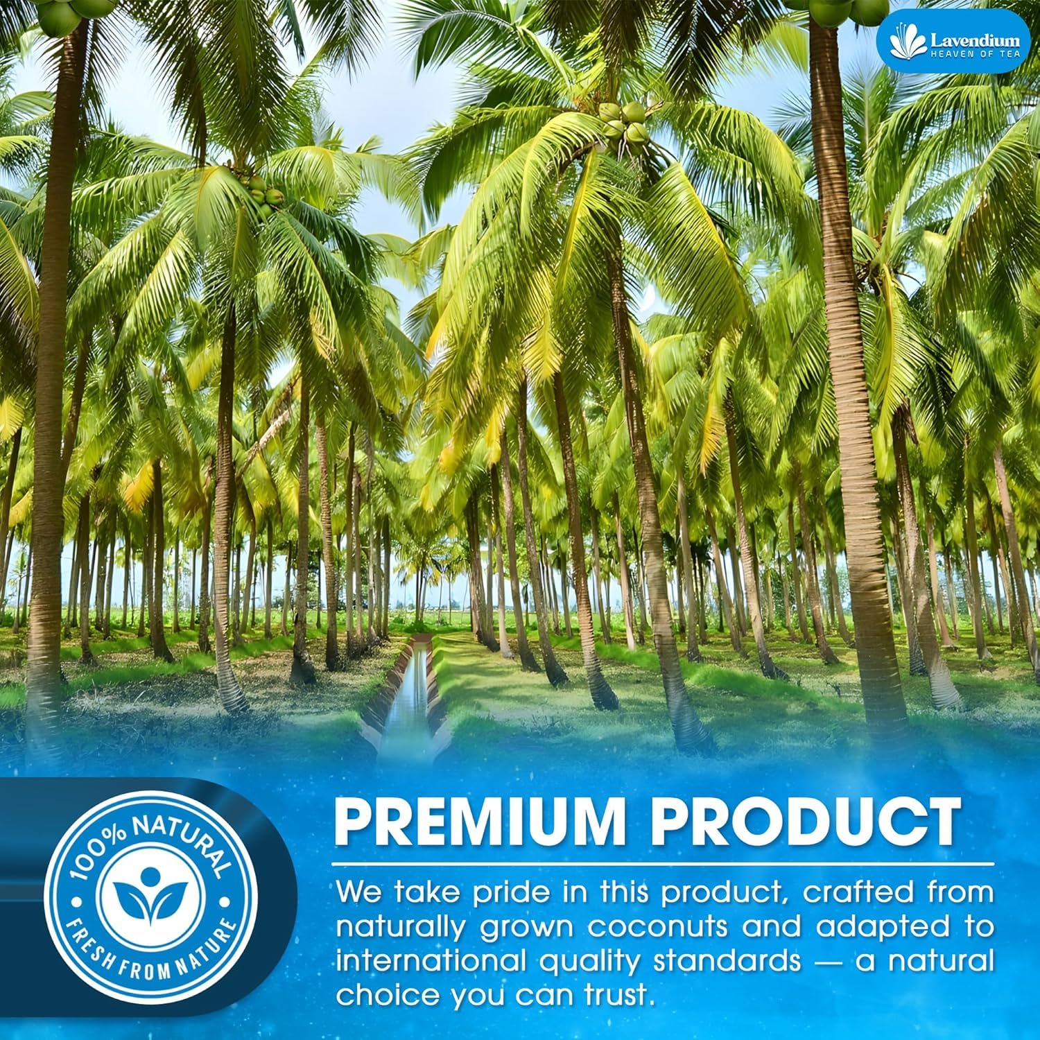 Detalle de Lavendium Coconut Milk Powder 40 oz