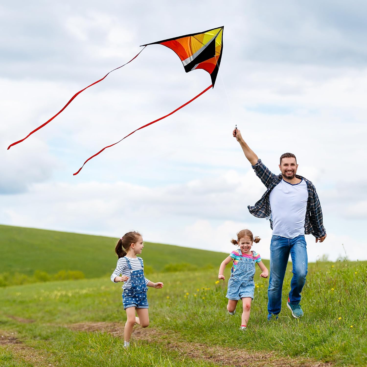 Detalle 2 de Larilook Delta Kite Easy to Fly