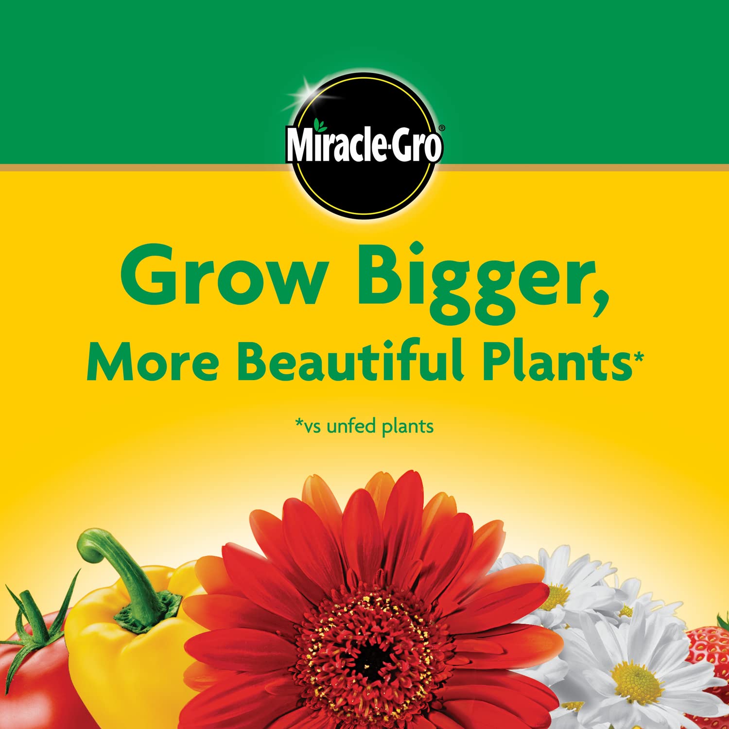 Thumbnail 6 de Miracle-Gro Water Soluble All Purpose Plant Food, 3 lb — Quick, Versatile Nutrition for Indoor and Outdoor Plants