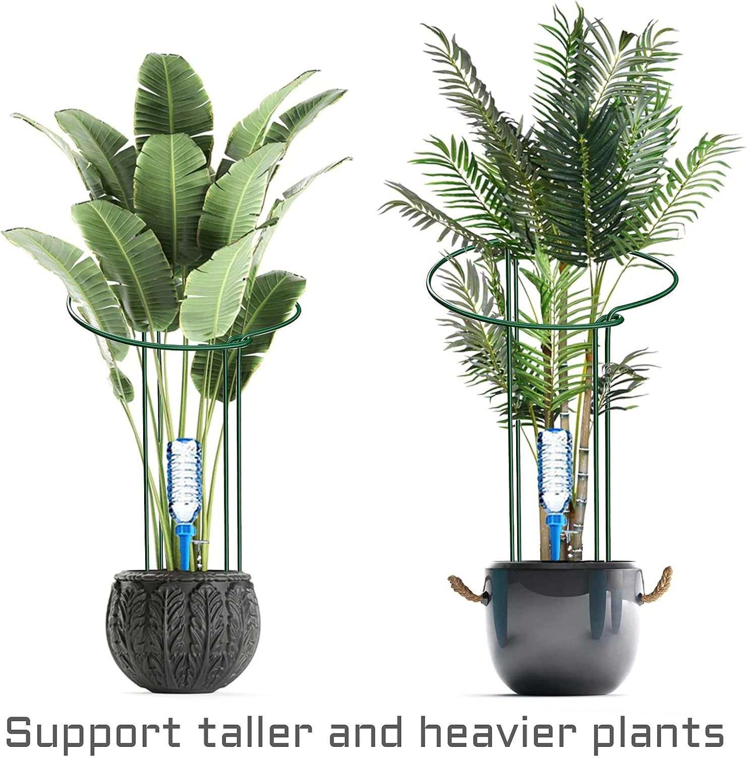 Thumbnail 3 de KAZITOO 4 Pack Large 60cm Tall Bow Plant Support Stakes