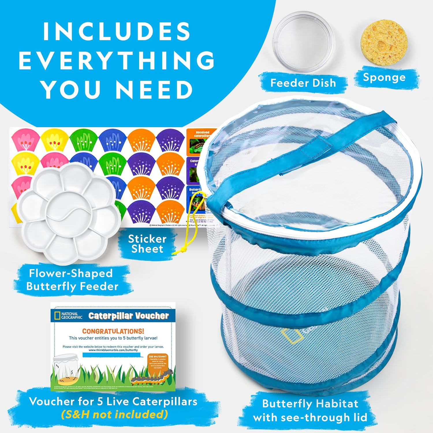 Detalle 2 de National Geographic Butterfly Growing Kit with 5 caterpillars 🐛🦋