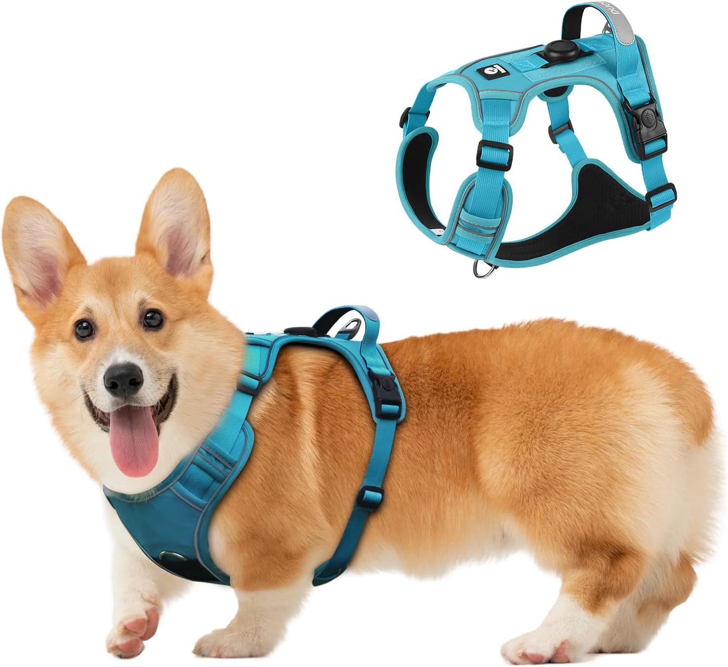 Thumbnail 6 de Dog Harness, M