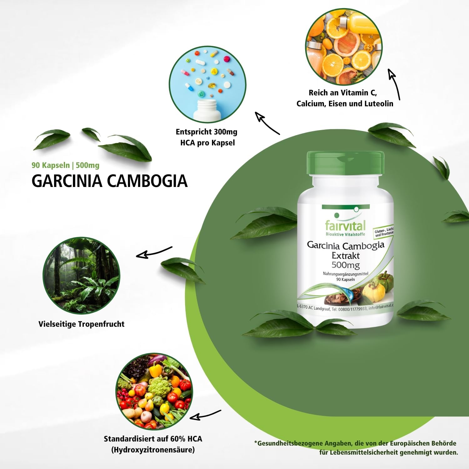 Detalle 2 de Fairvital Garcinia Cambogia Fruchtextrakt – 90 Kapseln, 1500 mg pro Tag, vegan, 60% HCA
