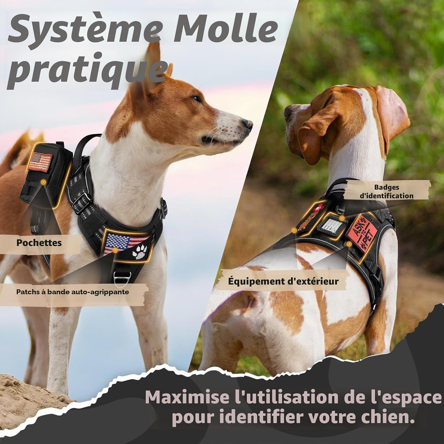 Thumbnail 1 de rabbitgoo Harnais Chien Anti Traction M