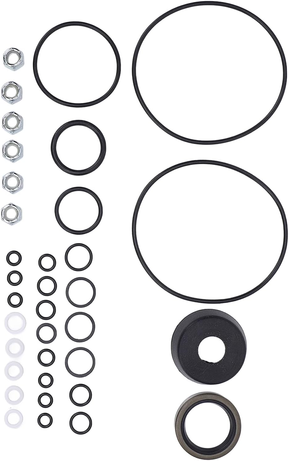 Thumbnail 6 de KIMISS snow plow pump seal kit 1306150