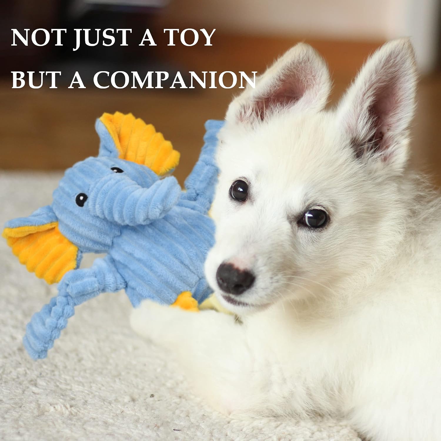 Thumbnail 5 de LECHONG 5-PACK Squeaky Dog Toys 5-pack