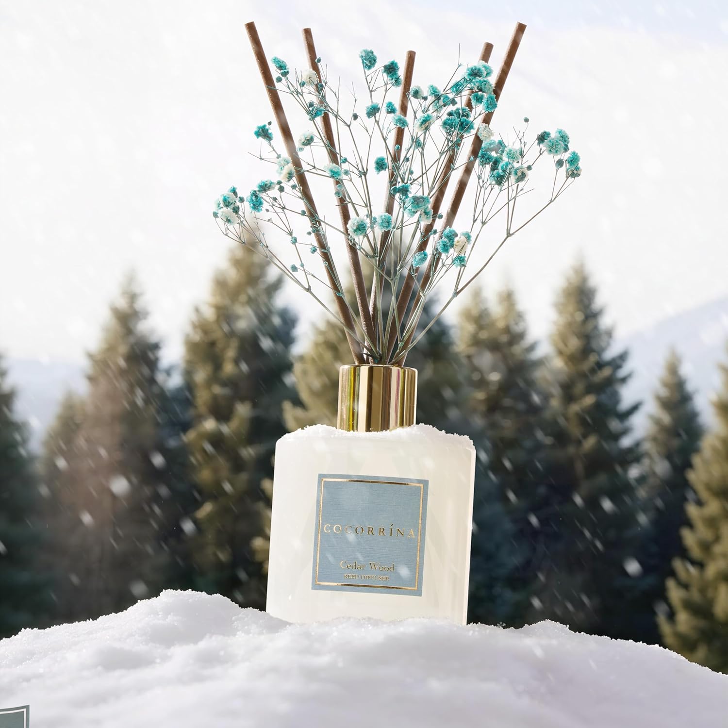Thumbnail 4 de COCORRÍNA Raumduft Reed Diffuser mit 8 Duftstäbchen (200 ml) Cedar Wood