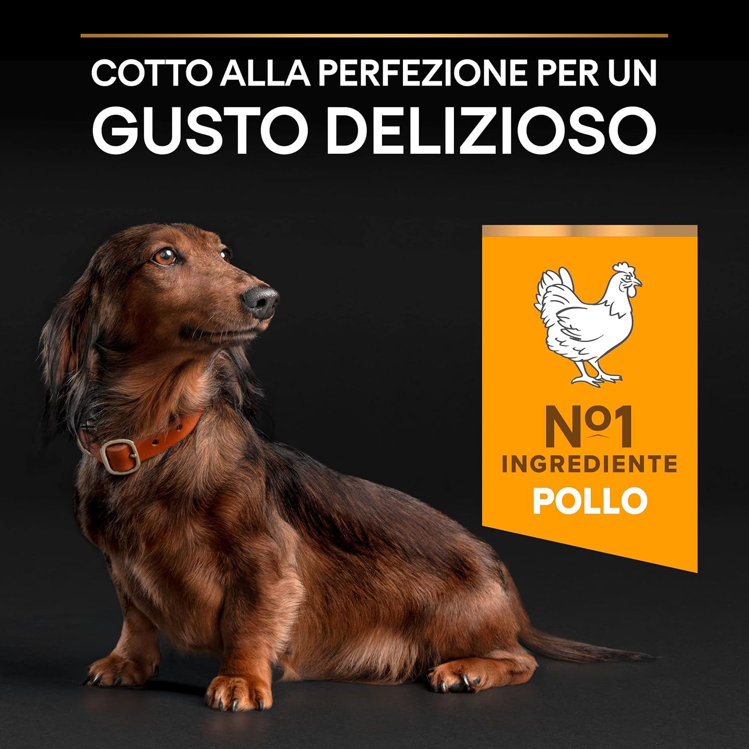 Thumbnail 3 de PURINA PRO PLAN Perro Pequeño 9+ Con OPTIAGE 🐶 3kg
