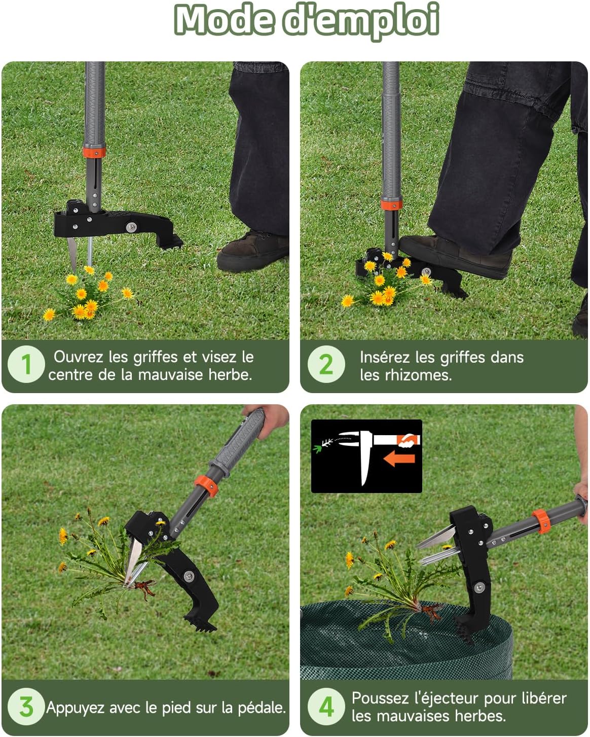 Detalle de HAUSPROFI Désherbeur Manuel Extensible (91–117 cm) avec Sac de Jardin 50 L – 4 Dents et Retour Automatique