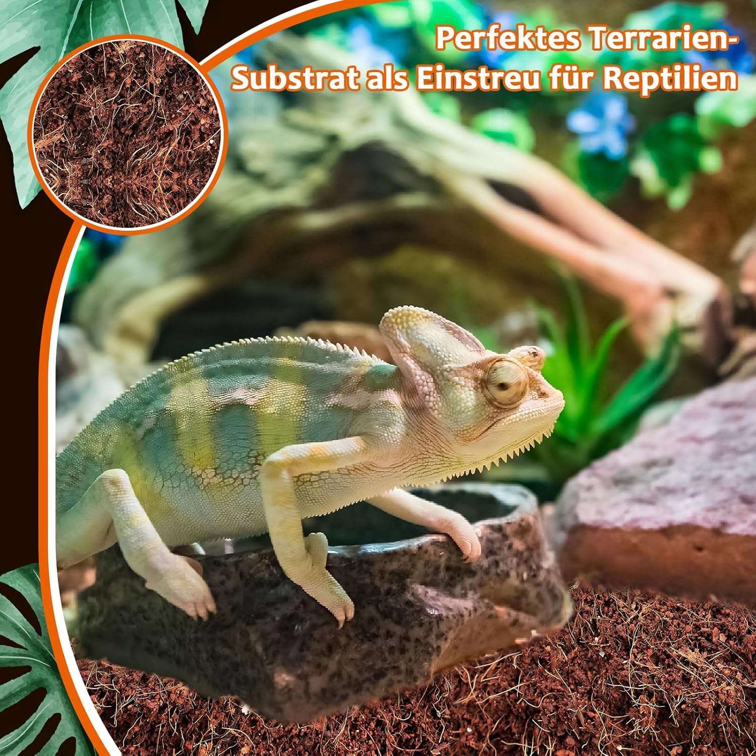 Thumbnail 6 de Kokosfaser-Substrat für Terrarien, 1 Stück