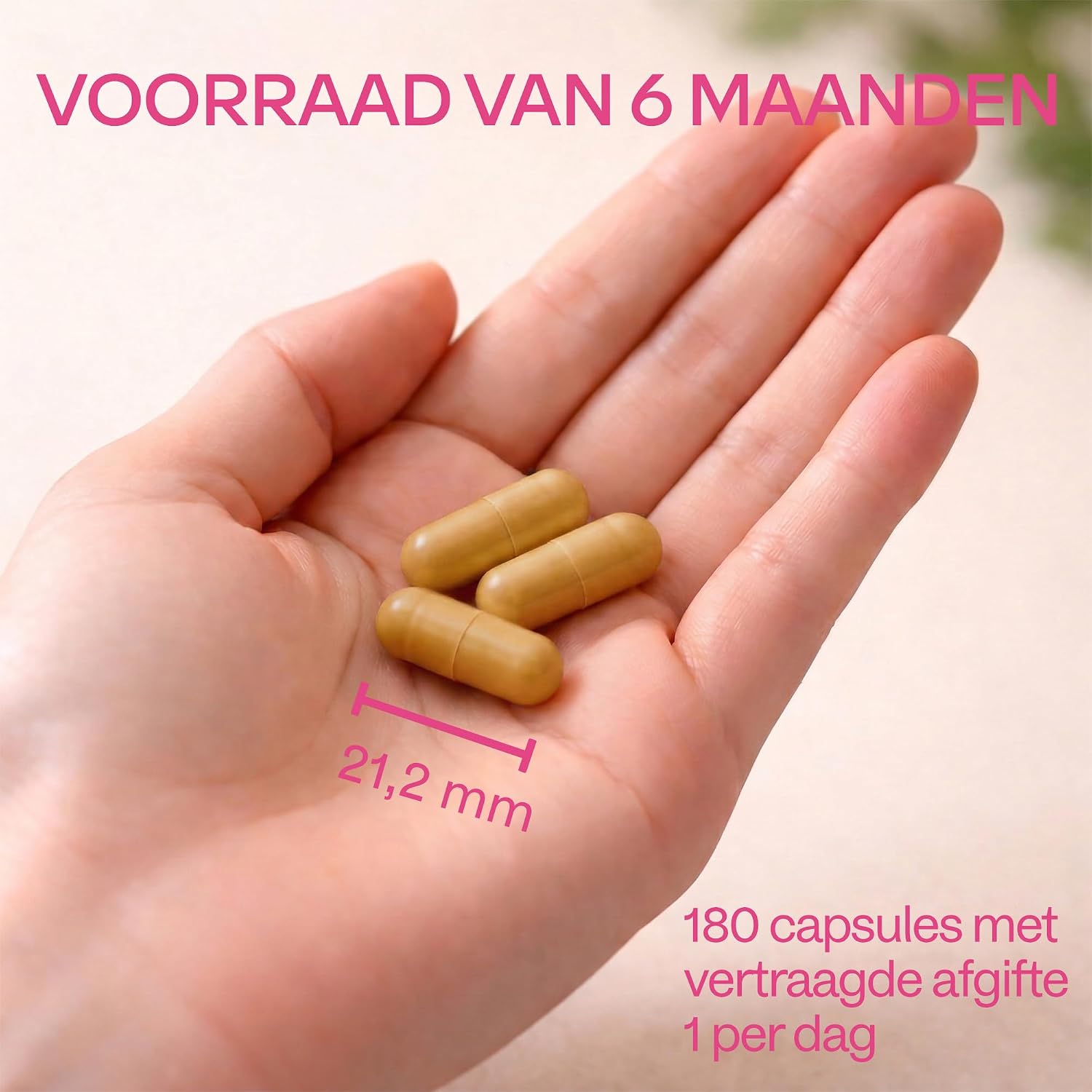 Thumbnail 6 de AAVALABS Vitamine B-complex capsules, 180 stuks, veganistisch