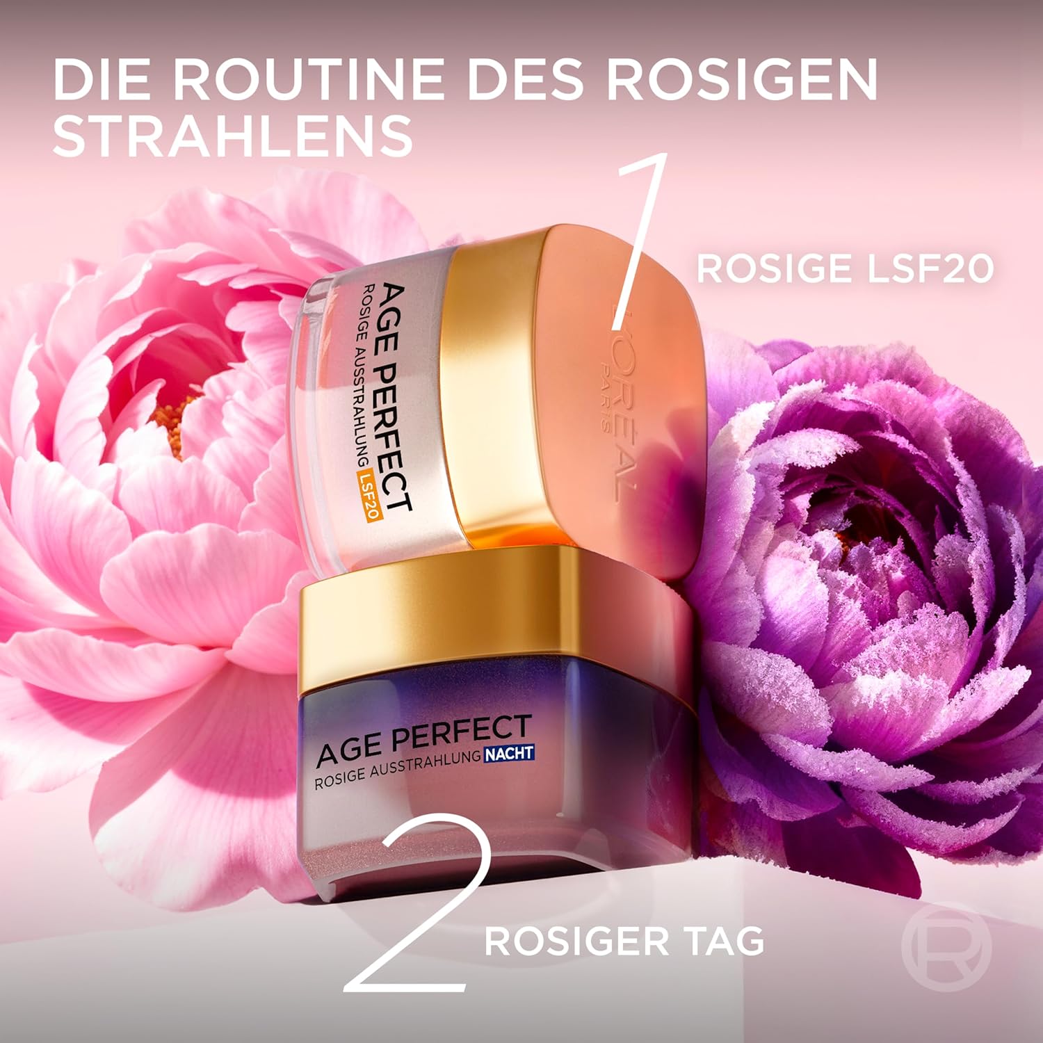 Thumbnail 6 de L’Oréal Paris Rosé Tagespflege LSF 20 – Age Perfect Golden Age, 50 ml