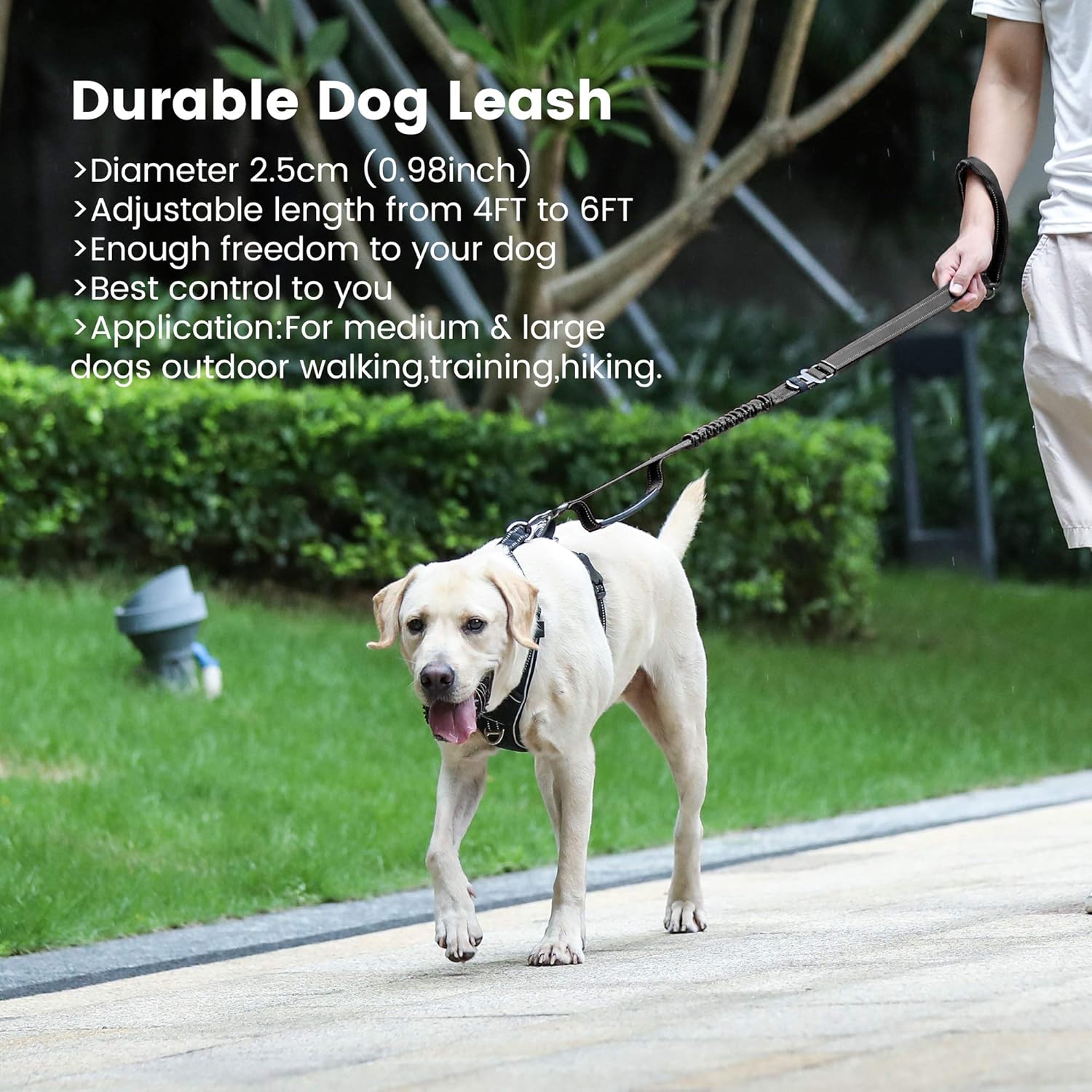 Thumbnail 6 de Iokheira Bungee Dog Lead 4-6 Ft