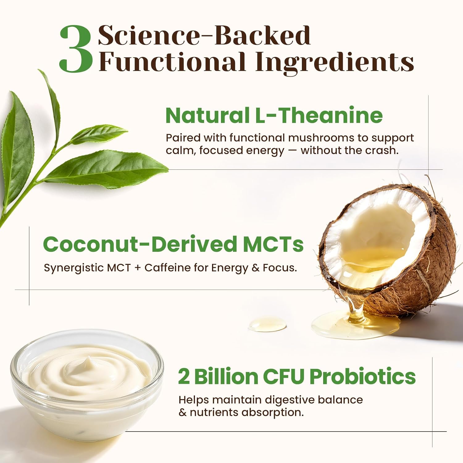 Thumbnail 6 de Venture Pal Superfood Probiotic Coffee Creamer, Vanilla, 16 Mushrooms & MCT