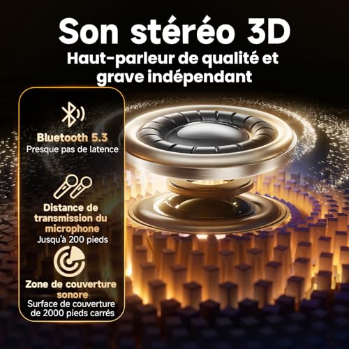 Detalle de HWWR Enceinte Karaoke 2 Micro sans Fil 60W – Système tout-en-un avec LEDs, TWS et autonomie longue