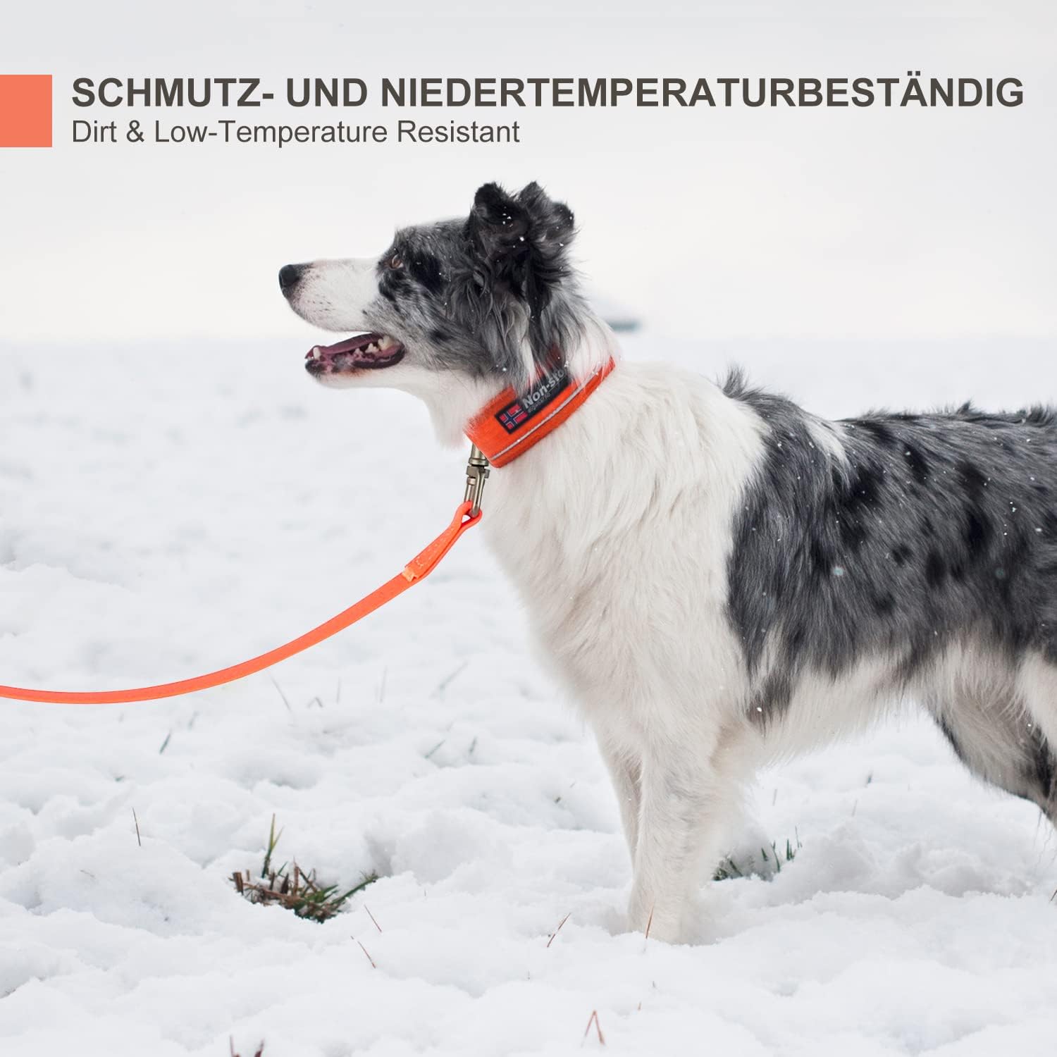 Thumbnail 6 de Toozey Wasserdicht Schleppleine für Hunde 20m