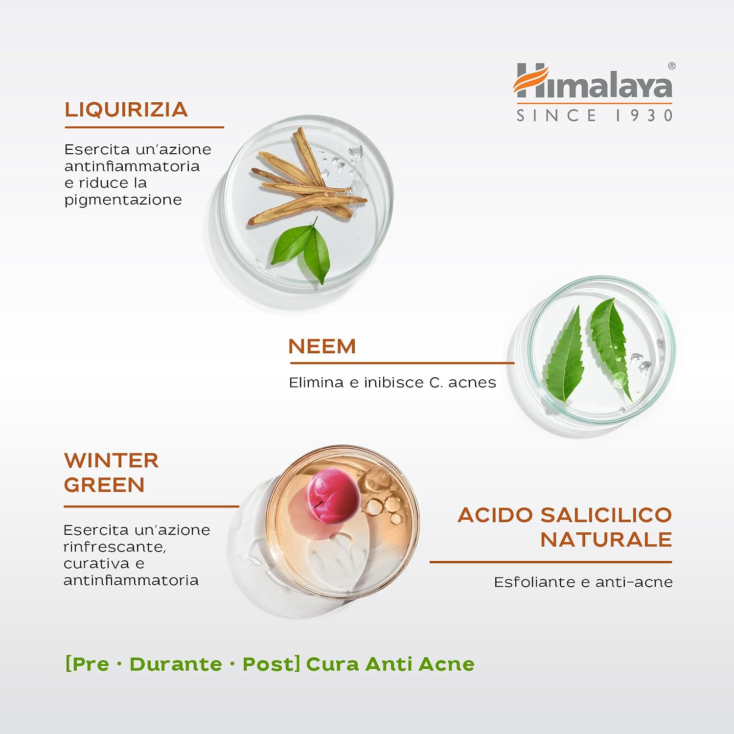 Thumbnail 3 de Himalaya Acne Clear+ Gel detergente viso 200 ml: recensione pratica e guida all’acquisto