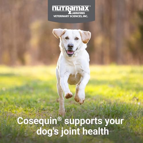 Thumbnail 2 de Nutramax Cosequin Joint Supplement for Dogs — Soft Chews, 120 Count