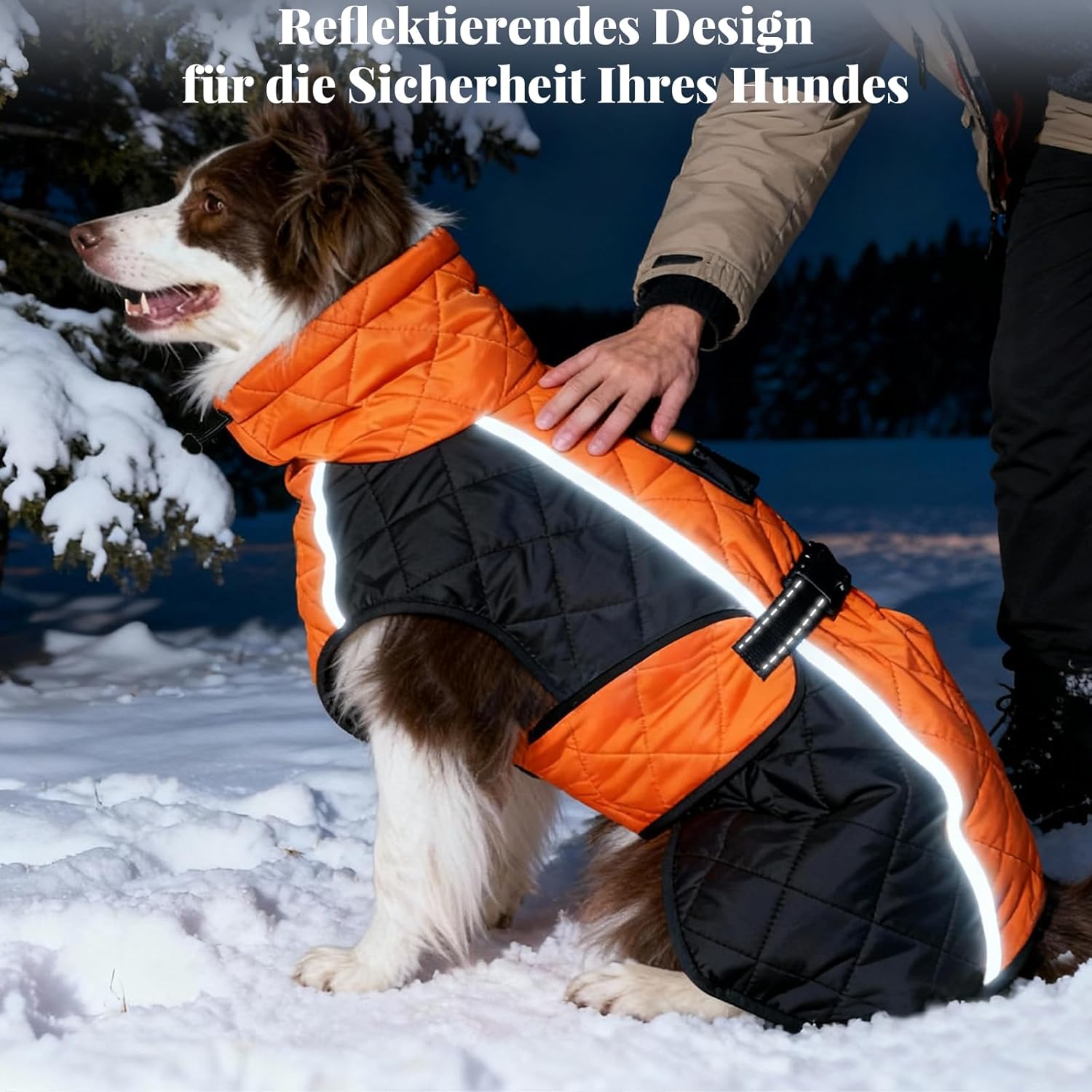 Thumbnail 5 de BECROWM dog winter coat (orange, X-small) with fleece lining, water-resistant outer, reflective strip and leash hole