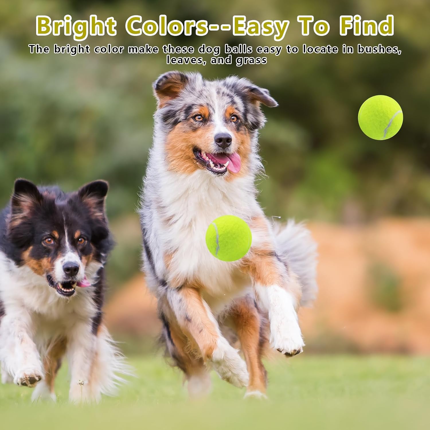 Detalle 2 de Magicorange Dog Tennis Balls, 2.5-Inch