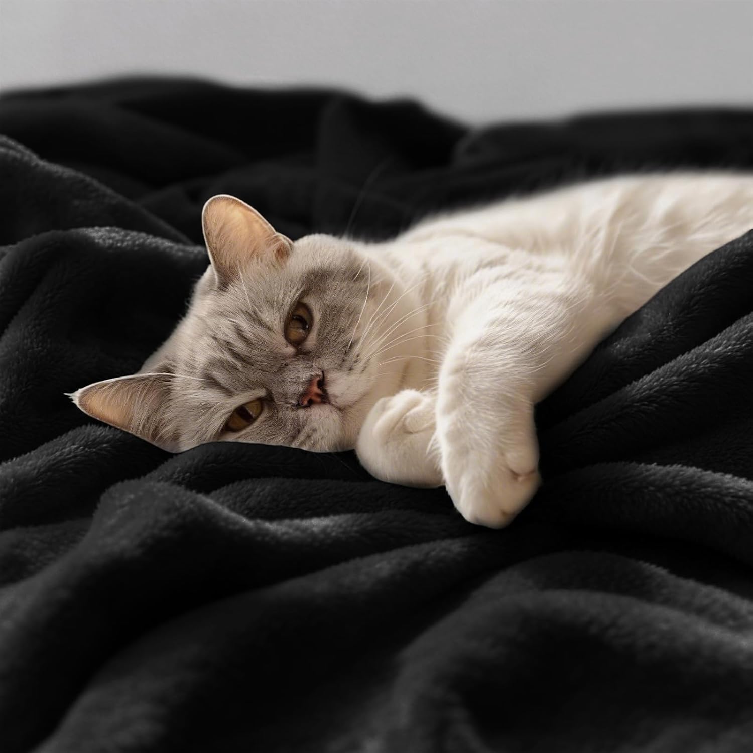 Thumbnail 3 de CozyLux Flauschdecke 150x200 cm (XL) aus Flanell – warme Kuscheldecke für Sofa und Bett, schwarz