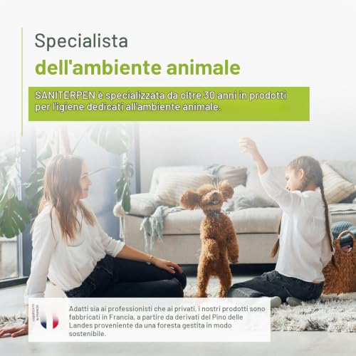 Detalle de SANITERPEN Sanifresh Disinfettante Profumante per Multisuperficie (1 L) – Profumo di menta, Francia