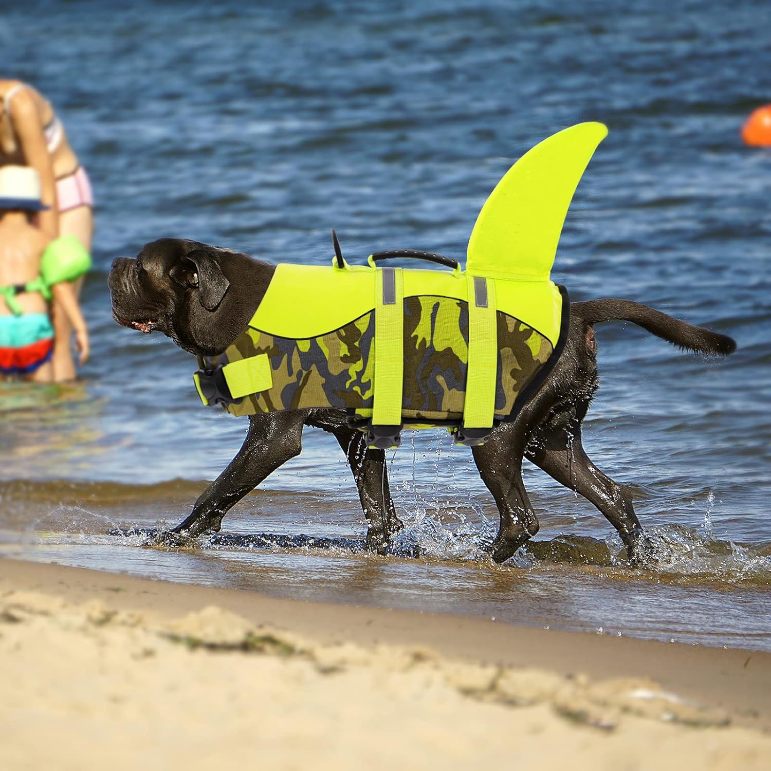 Thumbnail 6 de Queenmore Dog Swimming Vest (Large) – Adjustable Pet Life Jacket with Rescue Handle
