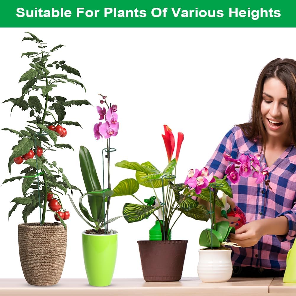 Thumbnail 5 de Adiwo 6PCS 60cm garden single stem support stakes with extension poles, plant clips and flexible cable ties