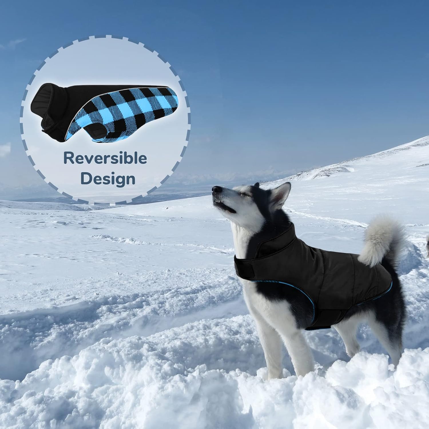 Thumbnail 2 de CITÉTOILE Warm & Windproof Dog Coat XL