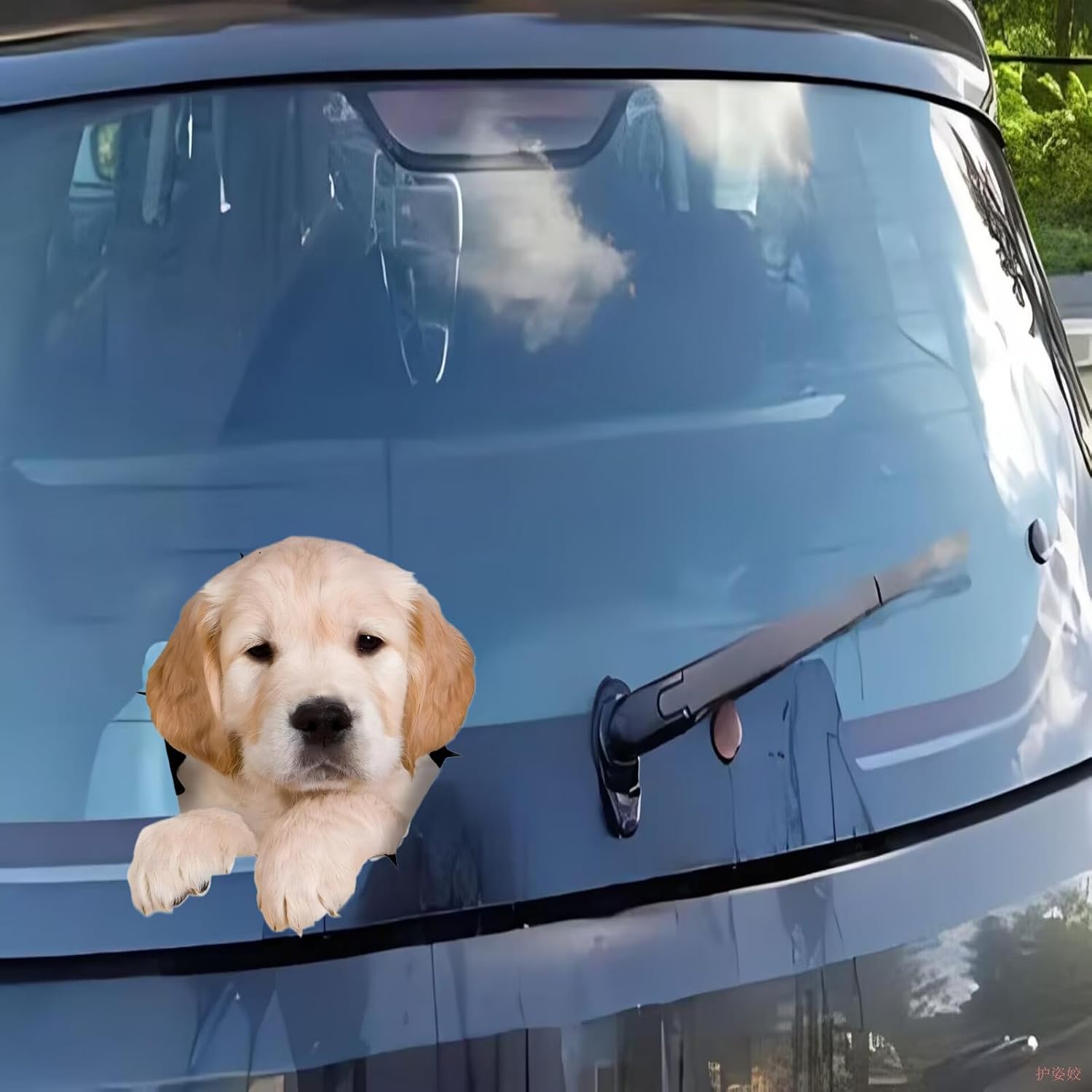 Detalle 2 de Autoaufkleber Golden Retriever 18 cm