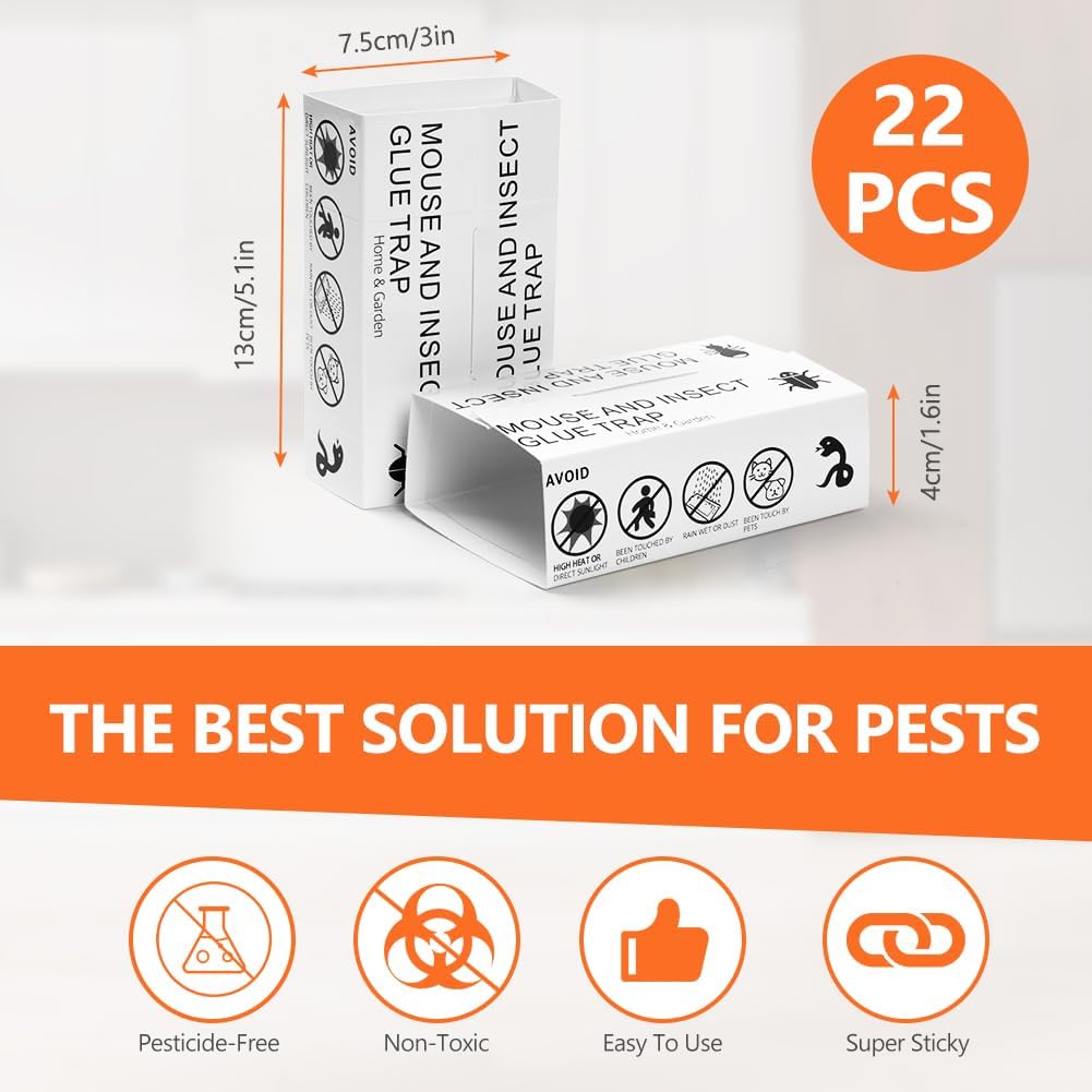 Thumbnail 1 de AMFUN 22 Pack Sticky Spider Traps 22pcs